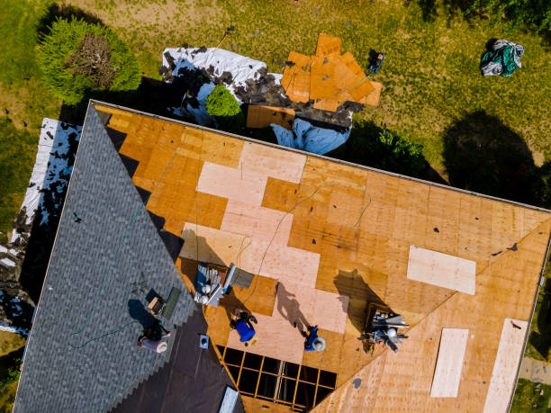 Best Roof Waterproofing Services  in Gorman, TX